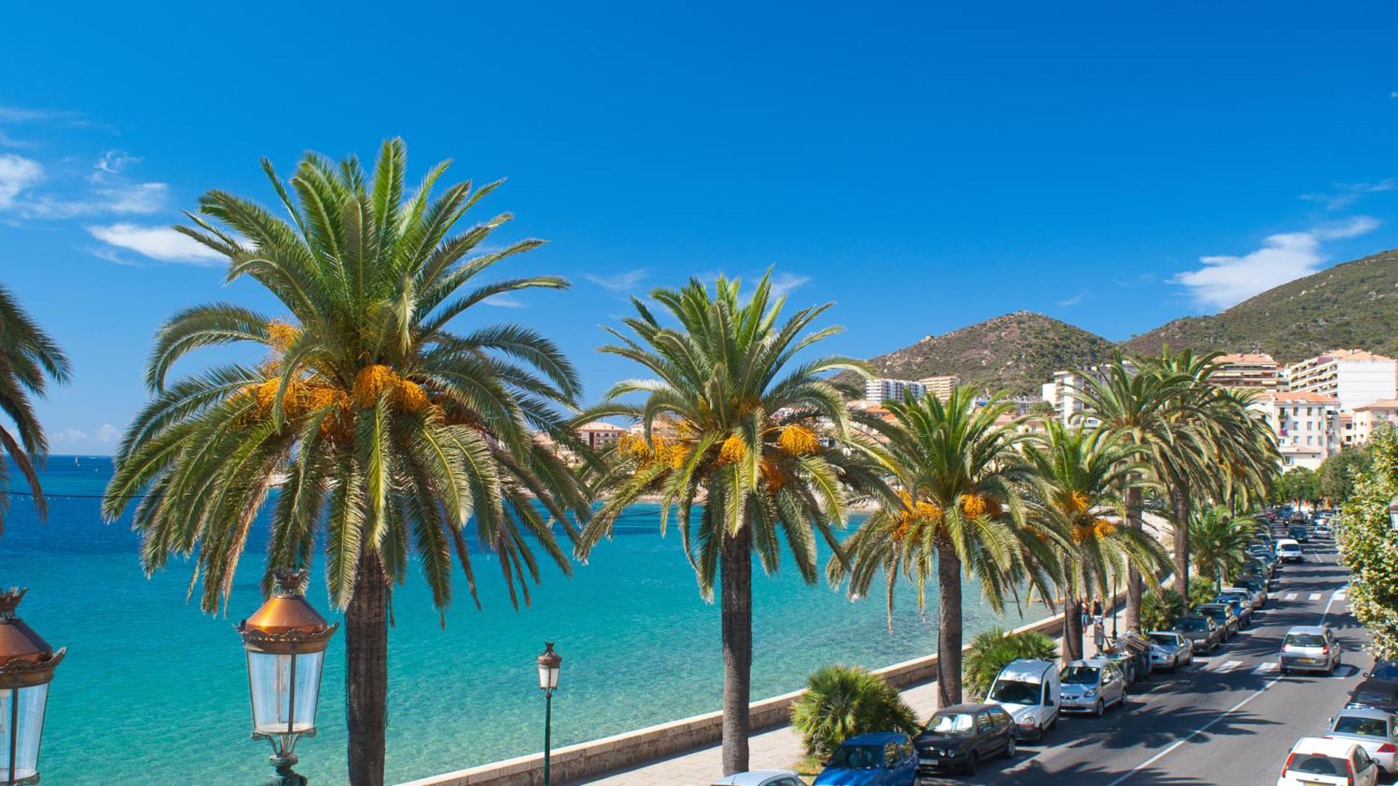 Evasion Corse - T2 Vue Mer, Piscine & Plage Ajaccio (Corsica) Exterior foto