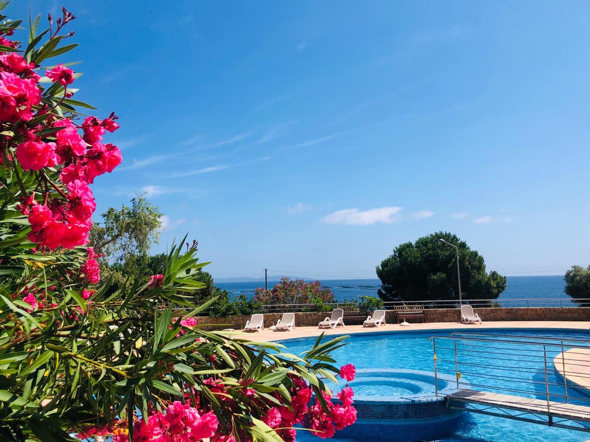 Evasion Corse - T2 Vue Mer, Piscine & Plage Ajaccio (Corsica) Exterior foto